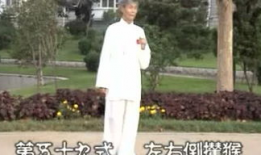 杨式太极拳85式视频,传承经典，动静相宜的养生之道